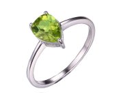 SV�@�y���h�b�g�@�����O�@�w�ցiJ20207)