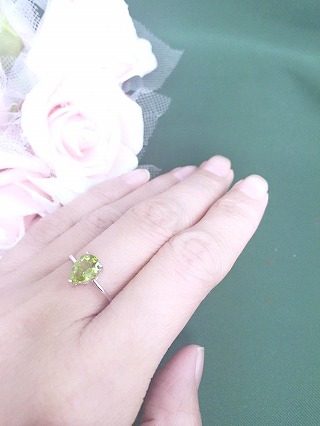 �y���h�b�g �����O