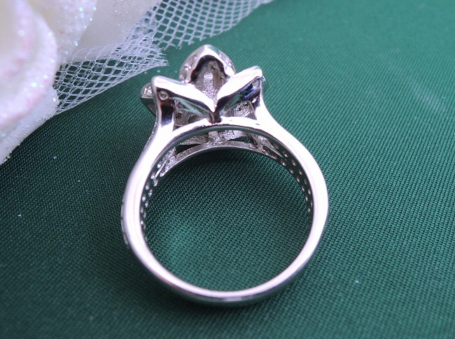 �L���[�r�b�N�W���R�j�A �����O