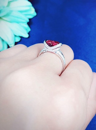 �T�t�@�C�A�@�y�A�V�F�C�v�@�����O�@�L���[�r�b�N�W���R�j�A