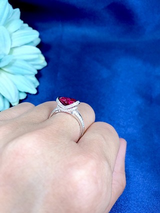 �T�t�@�C�A�@�y�A�V�F�C�v�@�����O�@�L���[�r�b�N�W���R�j�A