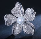 �L���[�r�b�N�W���R�j�A�@�u���[�`�@�t�����[