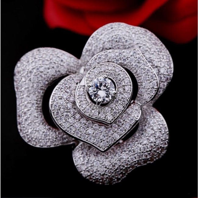 �t�����[���`�[�t�@�u���[�`