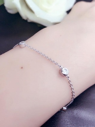 �A�N�Z�T���[�@�l�b�N���X