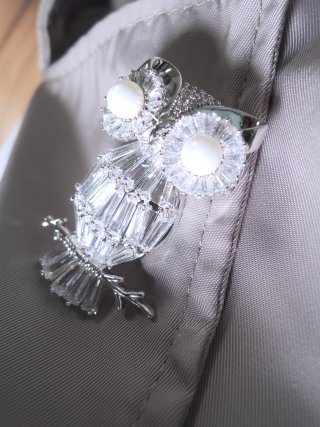 �t�N���E �u���[�`