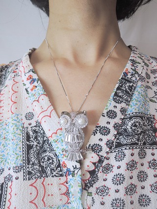 �t�N���E �u���[�`