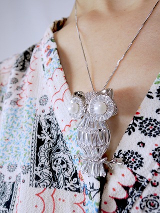 �t�N���E �u���[�`