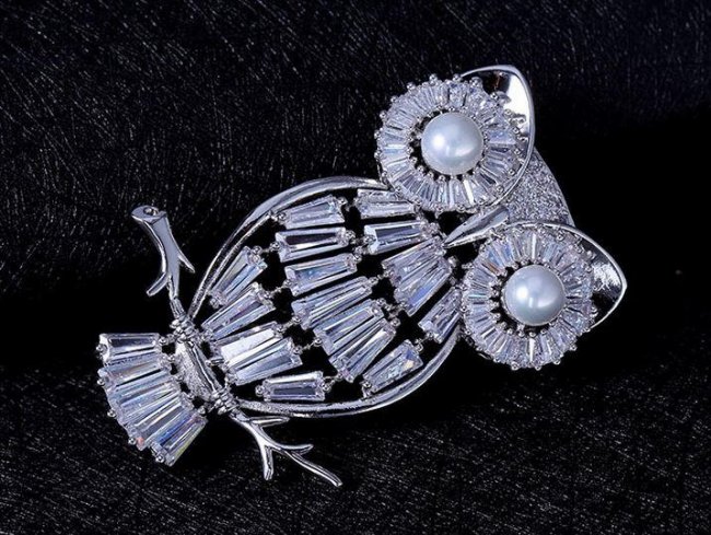 �t�N���E �u���[�`