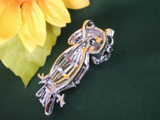 �t�N���E �u���[�`