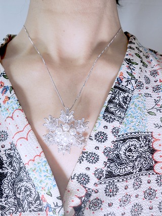 �ጋ���A�X�m�[�t���[�N  �u���[�` 