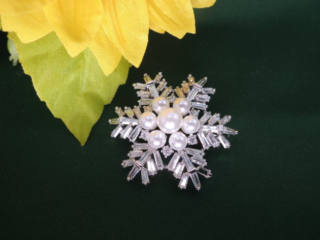 �ጋ���A�X�m�[�t���[�N  �u���[�` 