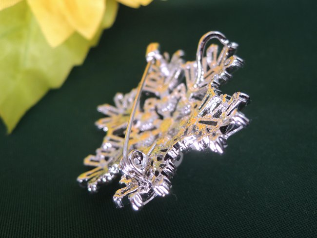 �ጋ���A�X�m�[�t���[�N  �u���[�` 