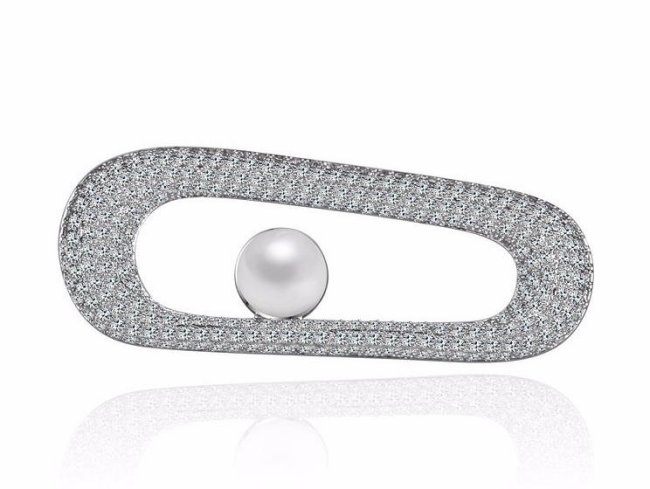 �}�C�N���p���F �u���[�` 