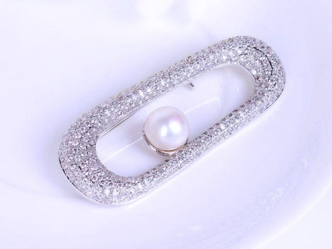 �}�C�N���p���F �u���[�` 