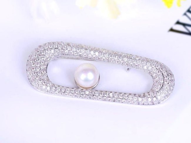 �}�C�N���p���F �u���[�` 