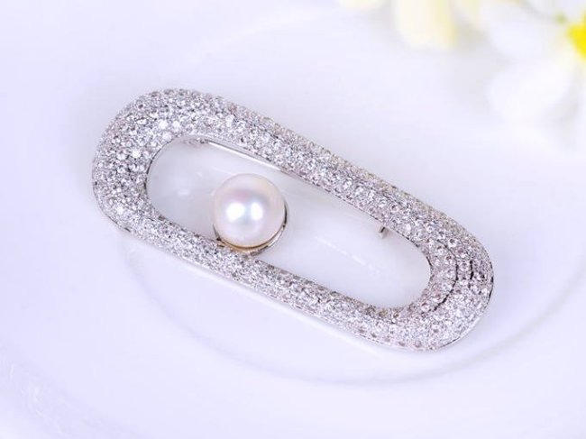 �}�C�N���p���F �u���[�` 