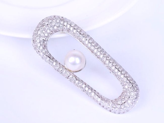 �}�C�N���p���F �u���[�` 