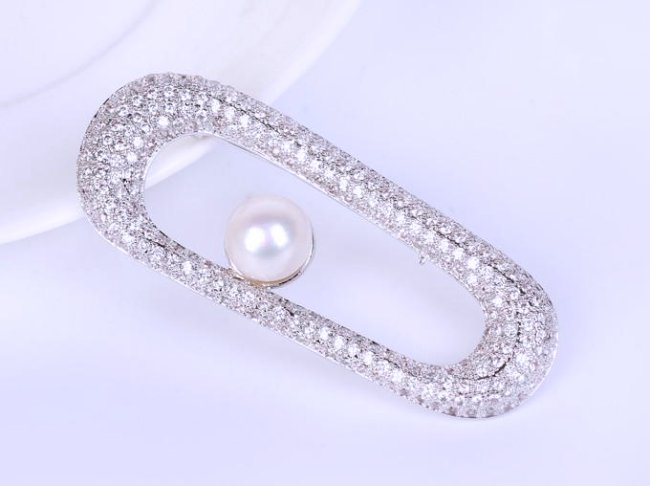 �}�C�N���p���F �u���[�` 