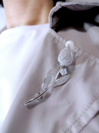 �}�C�N���p���F �u���[�`