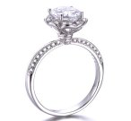 CZ�@�L���[�r�b�N�W���R�j�A�@����w�ց@�����O�iJ20258)