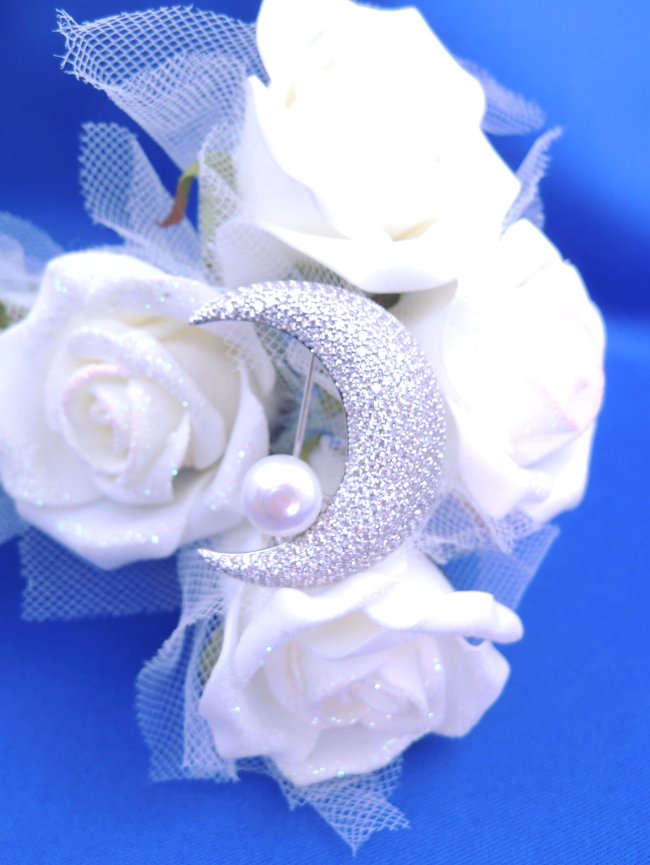 �}�C�N���p���F �u���[�` 