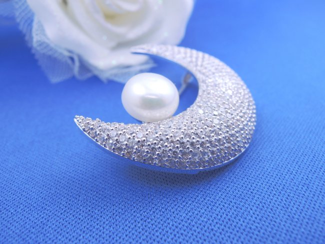 �}�C�N���p���F �u���[�` 