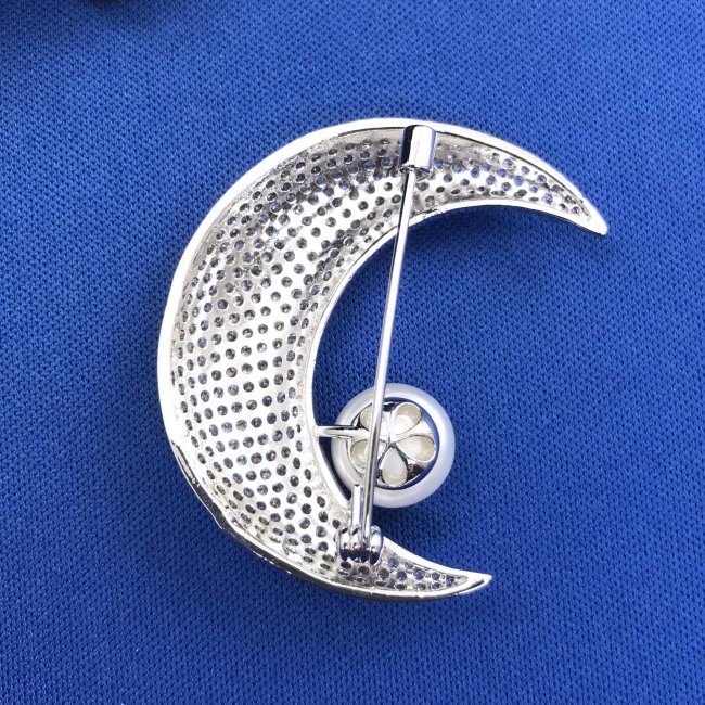 �}�C�N���p���F �u���[�` 