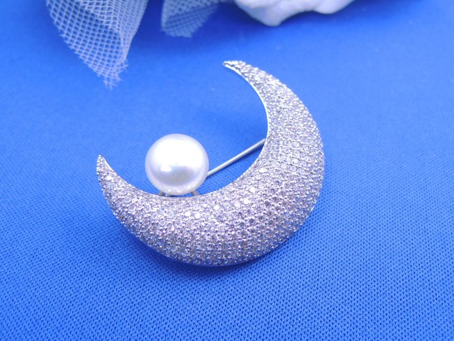 �}�C�N���p���F �u���[�` 