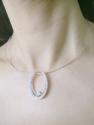 �V���o�[�@�I���K�@�l�b�N���X