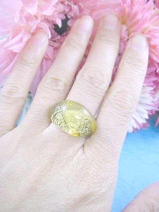 �t�����X�E�A�N�Z�T���[