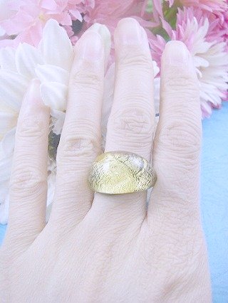 �t�����X�E�A�N�Z�T���[