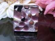 tX̃ANZT[@gI[@TRIOR @O@wցiT010)