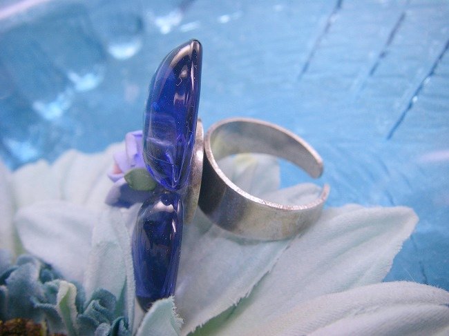 �t�����X�E�A�N�Z�T���[