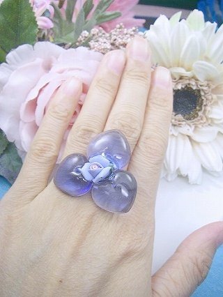 �t�����X�E�A�N�Z�T���[