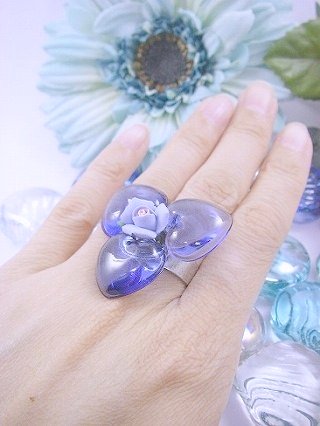 �t�����X�E�A�N�Z�T���[