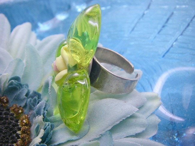 �t�����X�E�A�N�Z�T���[