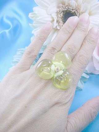 �t�����X�E�A�N�Z�T���[