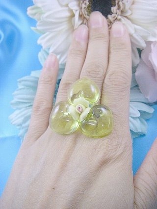 �t�����X�E�A�N�Z�T���[