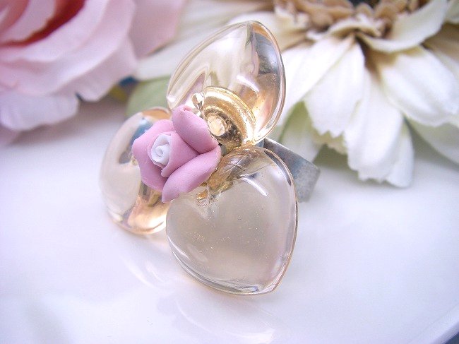 �t�����X�E�A�N�Z�T���[