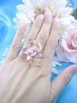 �t�����X�E�A�N�Z�T���[