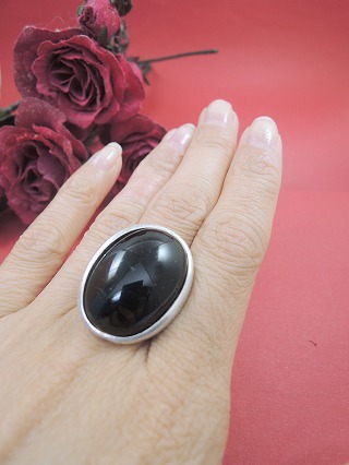 �t�����X�E�A�N�Z�T���[