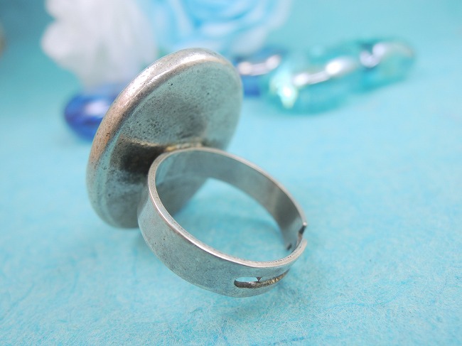 �t�����X�E�A�N�Z�T���[