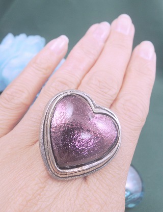 �t�����X�E�A�N�Z�T���[