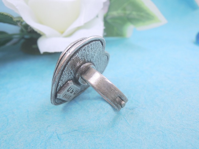 �t�����X�E�A�N�Z�T���[