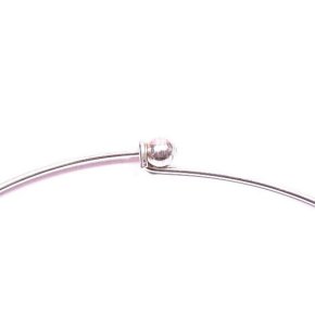 �t�����X�E�A�N�Z�T���[