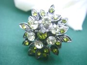 �X�����t�X�L�[�@���C���X�g�[���@�����O