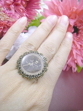 �t�����X�E�A�N�Z�T���[