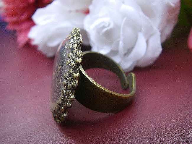 �t�����X�E�A�N�Z�T���[