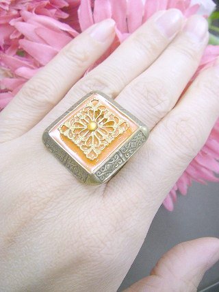 �t�����X�E�A�N�Z�T���[