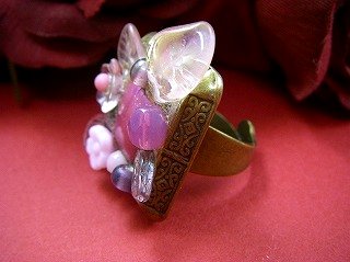 �t�����X�E�A�N�Z�T���[